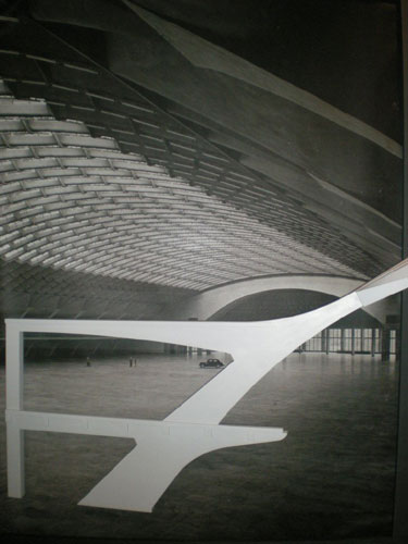 Pier Luigi Nervi